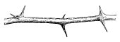 hamburger_menu_line