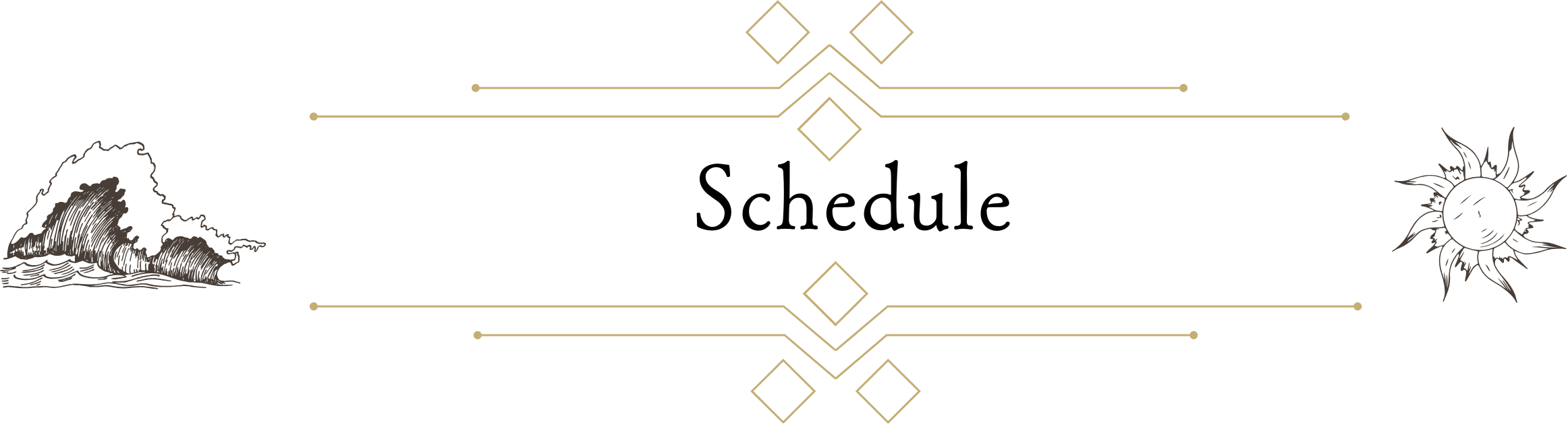 スケジュール